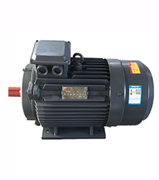 扬子自主研发铜制电机